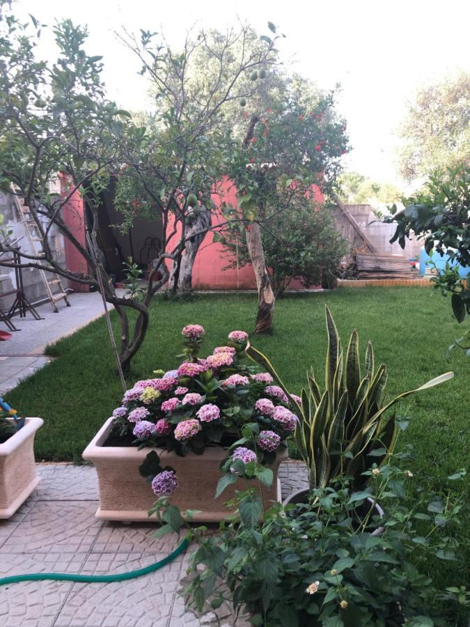 Paese Museo Apartment San Sperate Exterior foto